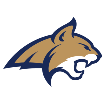 Sash - Image 2