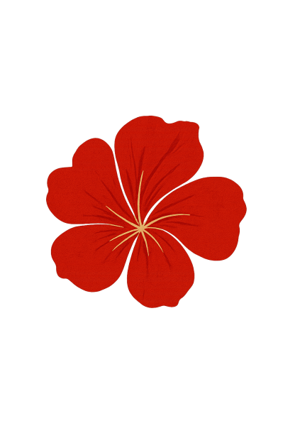 Sash - Image 4