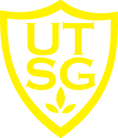 Sash - Image 2