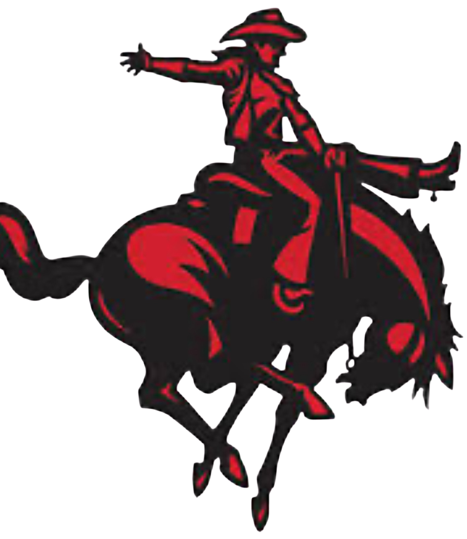 Sash_1760492421 - Image 2