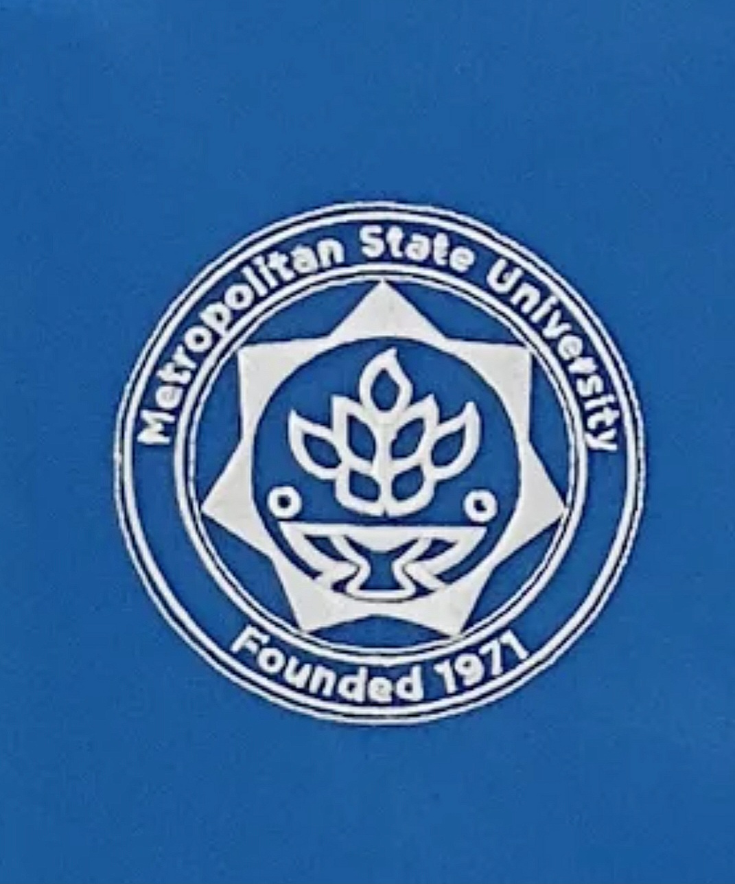 Sash_1764352121 - Image 2