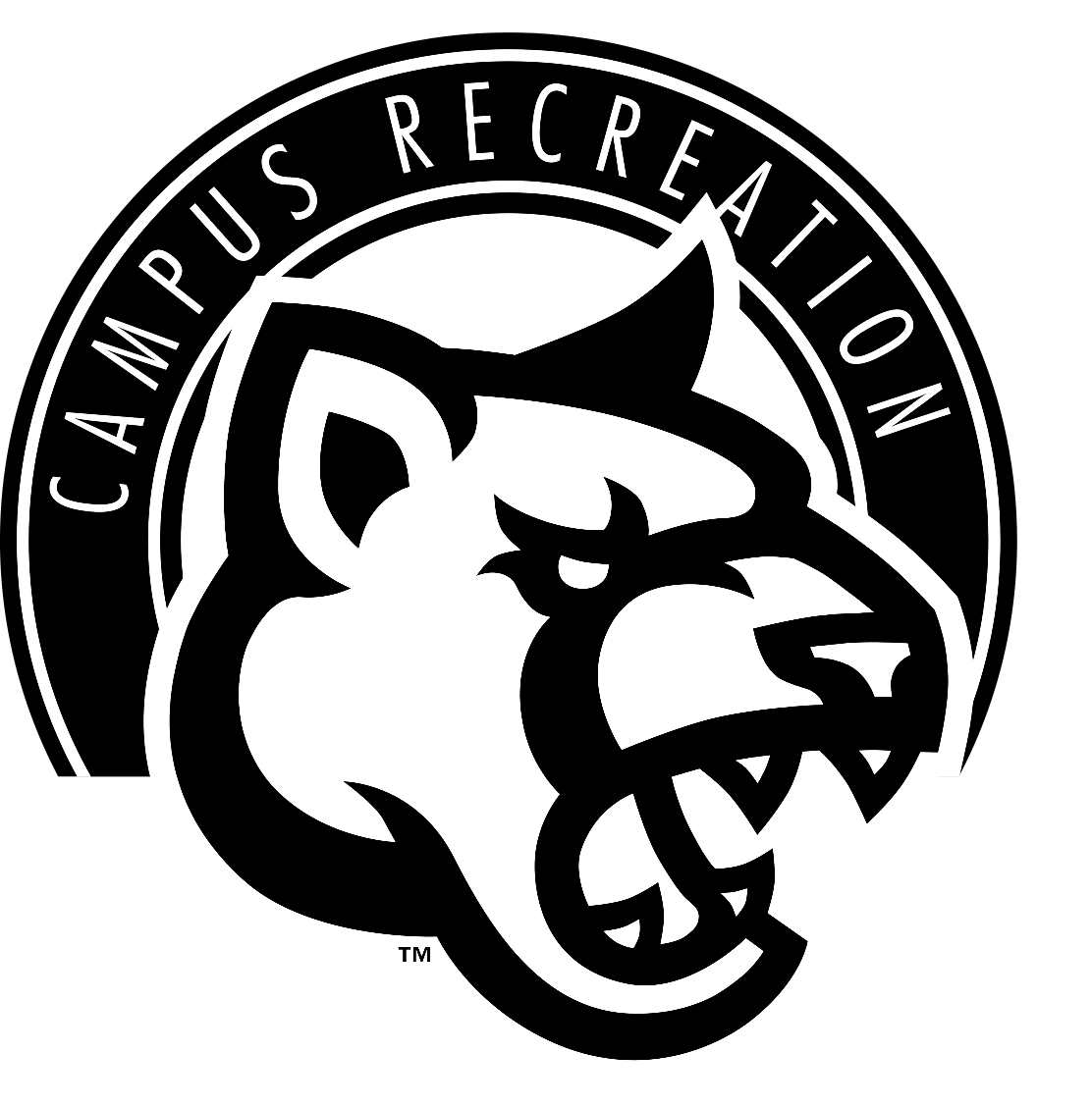 Sash_1765059352 - Image 2