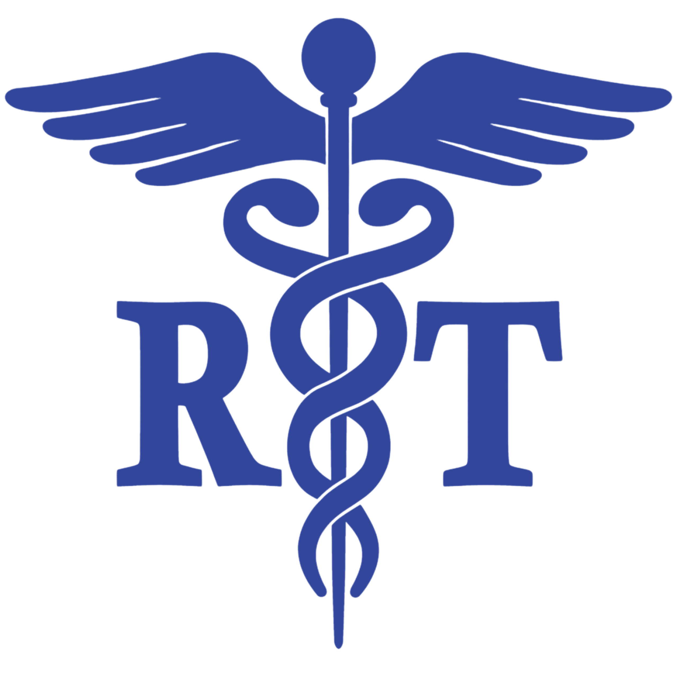 Sash_1770952207 - Image 2