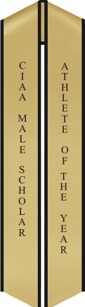 Sash