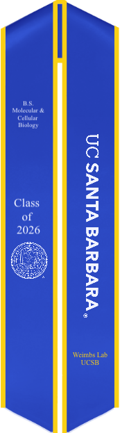 Sash