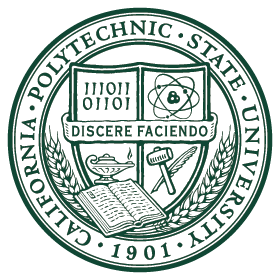 Sash - Image 2