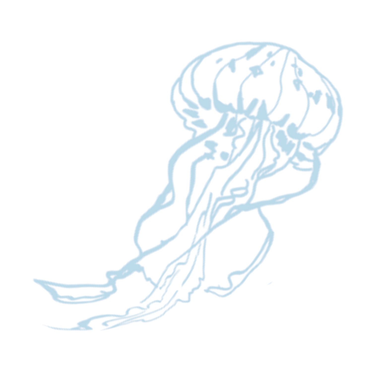 Sash - Image 2