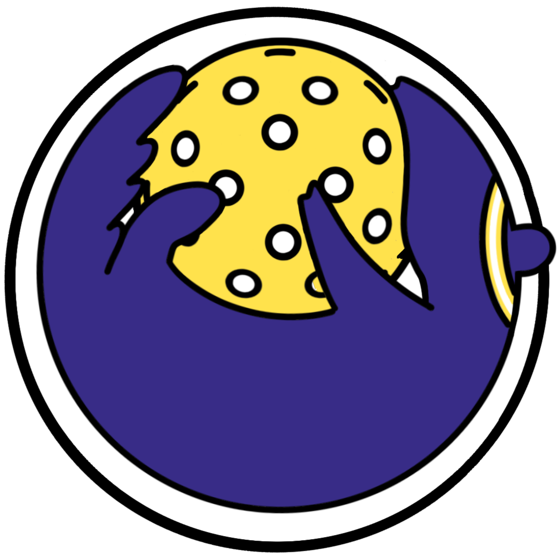 Sash - Image 2