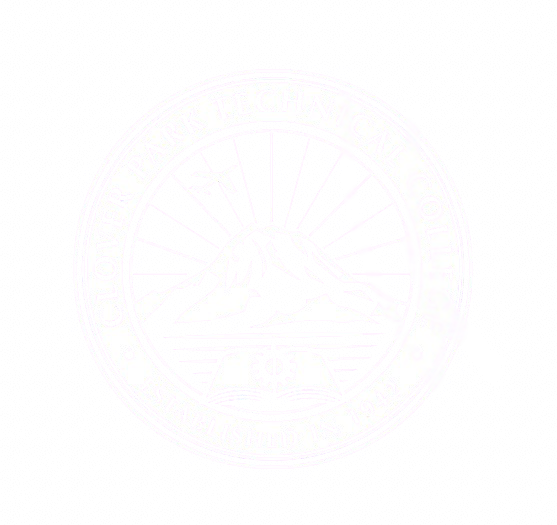 Sash - Image 2