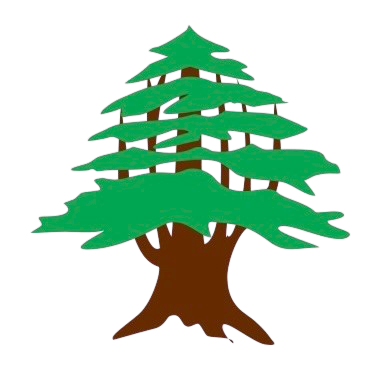 Sash - Image 4