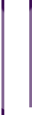 Sash - Image 2