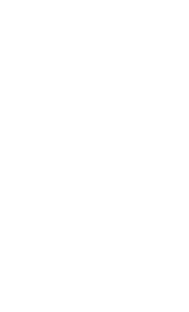 Sash - Image 2