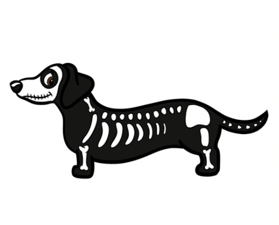 Sash - Image 3